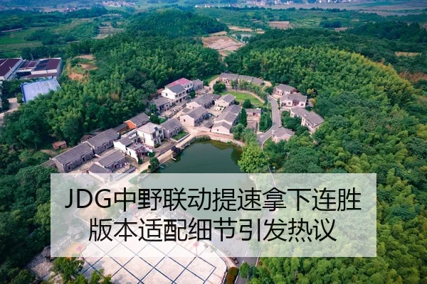 JDG中野联动提速拿下连胜 版本适配细节引发热议